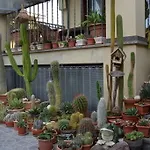 Acquamarina