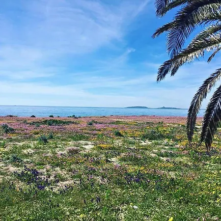 Acquamarina בית הארחה אוריסטאנו