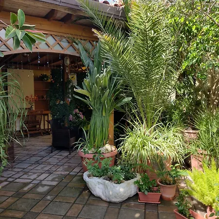 Πανσιόν Acquamarina 3*